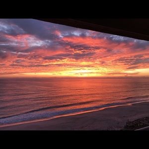 Meet your Posher, Wayne